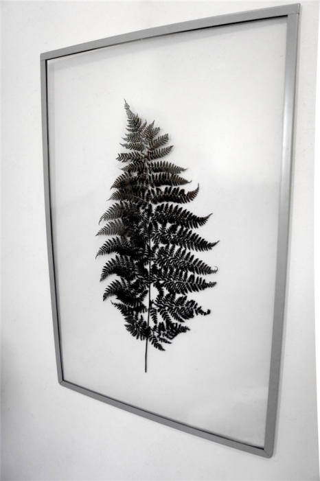 http://www.alexandremelay.com/files/gimgs/th-57_alexandre_melay_post-herbarium2020-small.jpg