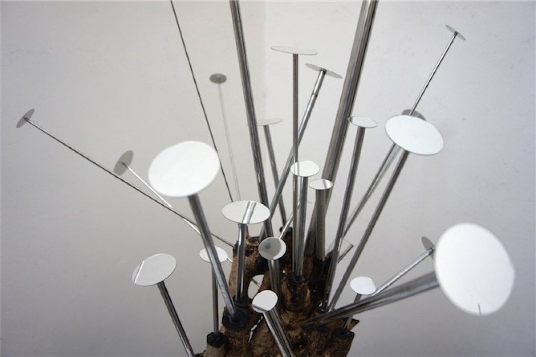 http://www.alexandremelay.com/files/gimgs/th-6_alexandre_melay_Vegetal_satellite_2_2018-small.jpg