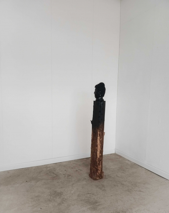 http://www.alexandremelay.com/files/gimgs/th-65_recarnation 2.jpg