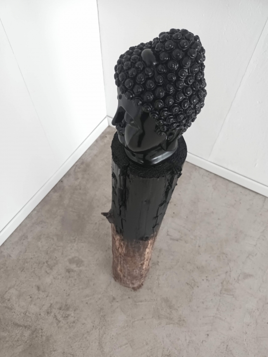 http://www.alexandremelay.com/files/gimgs/th-65_recarnation2026.jpg