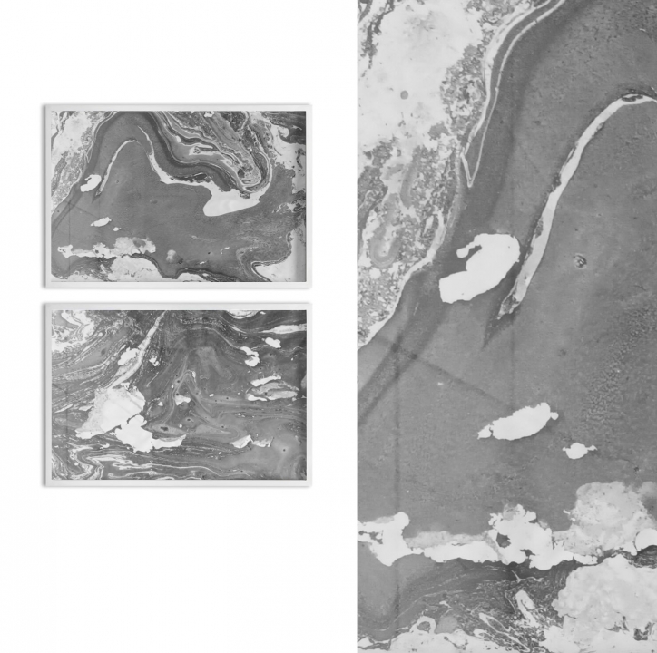 http://www.alexandremelay.com/files/gimgs/th-65_Sea ice2026.jpg