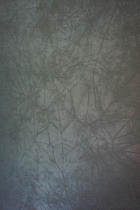 http://www.alexandremelay.com/files/gimgs/th-61_alexandre_melay_roots6.jpg