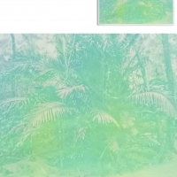 http://www.alexandremelay.com/files/dimgs/thumb_1x200_2_62_755.jpg