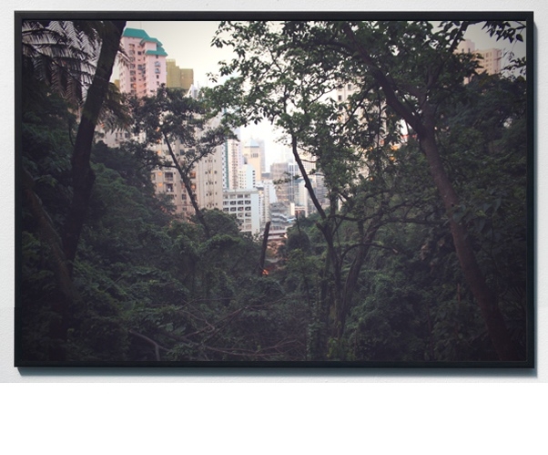 http://www.alexandremelay.com/files/gimgs/th-18_alexandre_melay_Woodland_HK2011-small.jpg