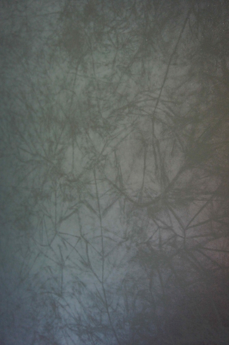 http://www.alexandremelay.com/files/gimgs/th-61_alexandre_melay_roots6.jpg