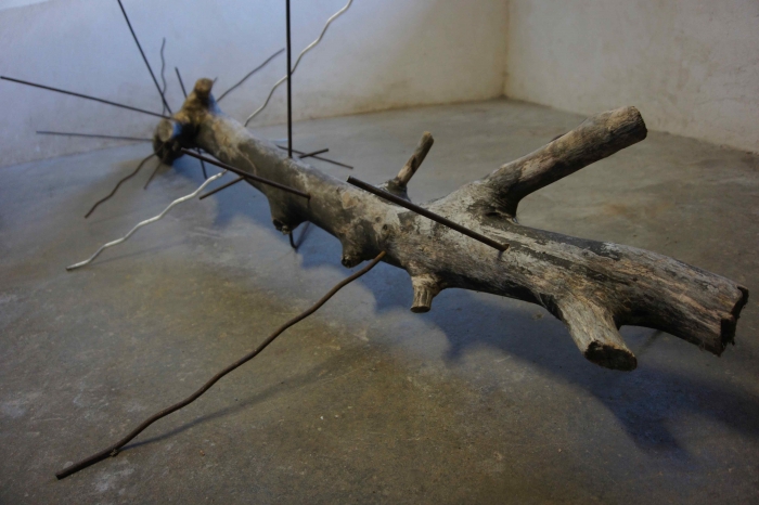 http://www.alexandremelay.com/files/gimgs/th-62_alexandre_melay_fragile_wonders1.jpg