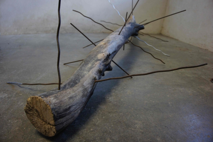 http://www.alexandremelay.com/files/gimgs/th-62_alexandre_melay_fragile_wonders3.jpg