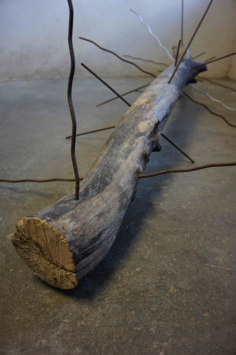 http://www.alexandremelay.com/files/gimgs/th-62_alexandre_melay_fragile_wonders4.jpg